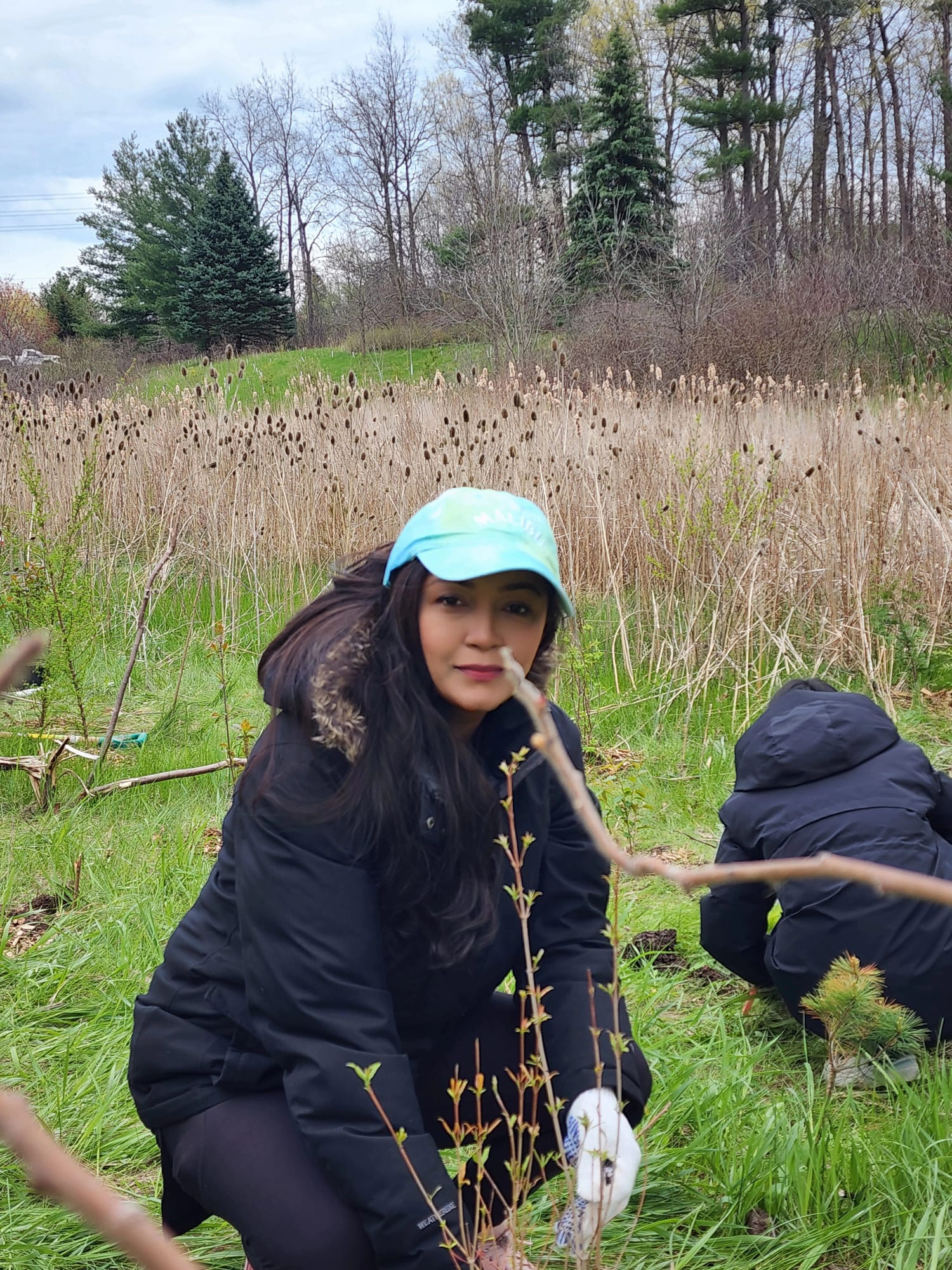 Tree planting initiative